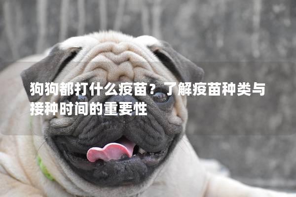 狗狗都打什么疫苗？了解疫苗種類與接種時間的重要性