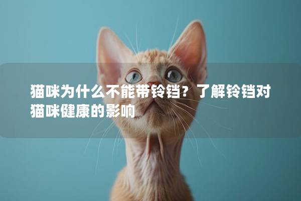 貓咪為什么不能帶鈴鐺？了解鈴鐺對貓咪健康的影響