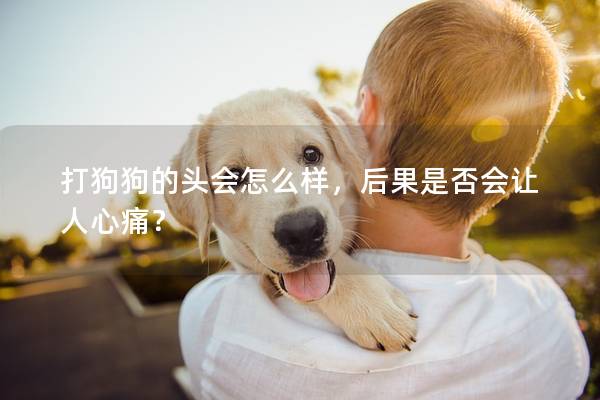 打狗狗的頭會(huì)怎么樣，后果是否會(huì)讓人心痛？