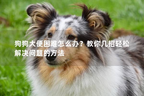狗狗大便困難怎么辦？教你幾招輕松解決問題的方法