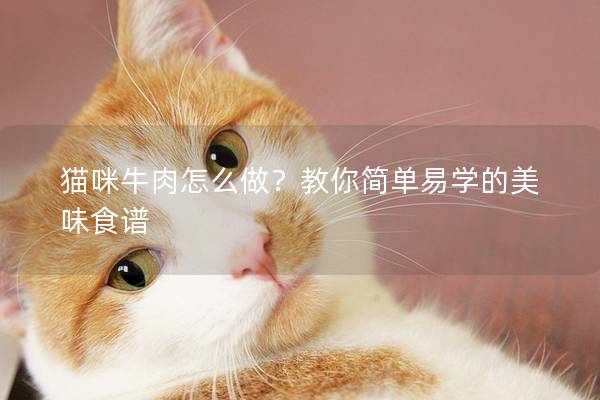 貓咪牛肉怎么做?教你簡(jiǎn)單易學(xué)的美味食譜 貓咪牛肉怎么做?教你簡(jiǎn)單易學(xué)的美味食譜