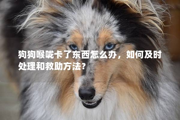 狗狗喉嚨卡了東西怎么辦，如何及時處理和救助方法？