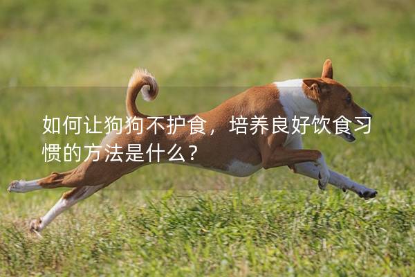 如何讓狗狗不護食，培養良好飲食習慣的方法是什么？