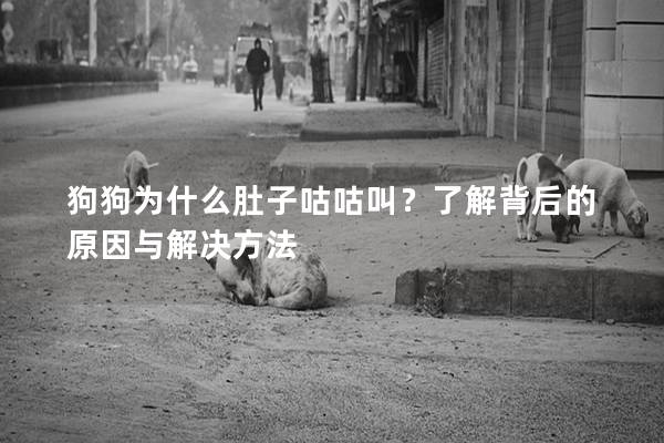狗狗為什么肚子咕咕叫？了解背后的原因與解決方法