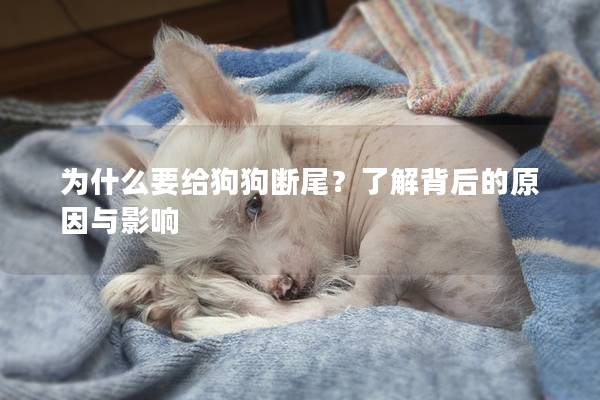 為什么要給狗狗斷尾？了解背后的原因與影響