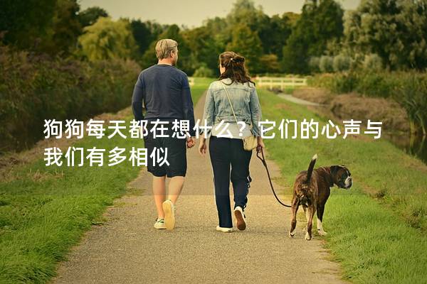 狗狗每天都在想什么?它們的心聲與我們有多相似 狗狗每天都在想什么?它們的心聲與我們有多相似