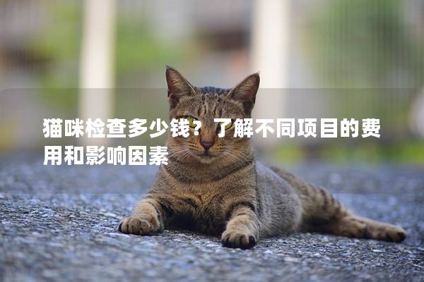 貓咪檢查多少錢？了解不同項(xiàng)目的費(fèi)用和影響因素