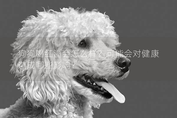 狗狗喝紅酒會怎么樣？可能會對健康造成哪些影響？
