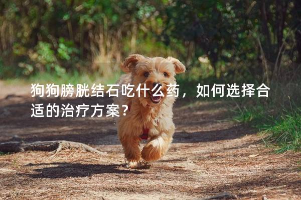 狗狗膀胱結(jié)石吃什么藥，如何選擇合適的治療方案？