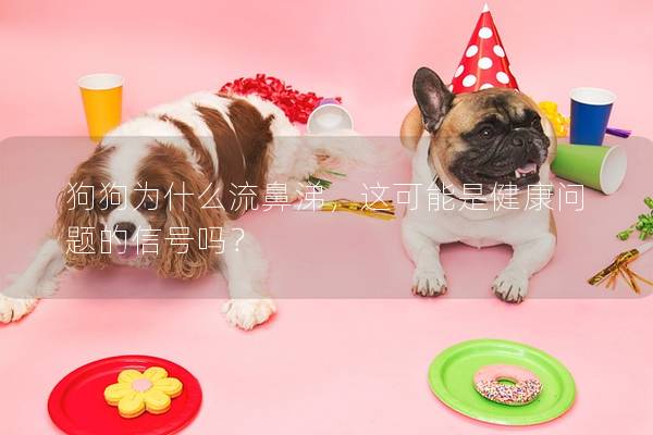 狗狗為什么流鼻涕，這可能是健康問題的信號嗎？