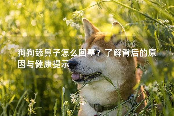 狗狗舔鼻子怎么回事？了解背后的原因與健康提示