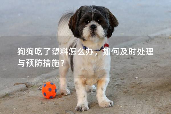 狗狗吃了塑料怎么辦，如何及時(shí)處理與預(yù)防措施？