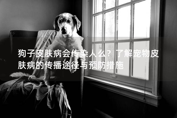 狗子皮膚病會傳染人么?了解寵物皮膚病的傳播途徑與預防措施 狗子皮膚病會傳染人么?了解寵物皮膚病的傳播途徑與預防措施