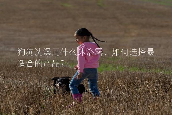狗狗洗澡用什么沐浴露，如何選擇最適合的產品？