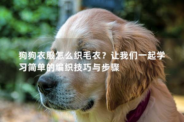 狗狗衣服怎么織毛衣？讓我們一起學習簡單的編織技巧與步驟