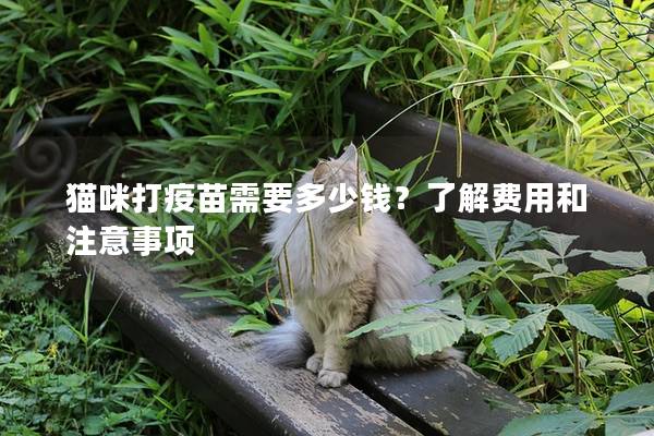 貓咪打疫苗需要多少錢？了解費用和注意事項