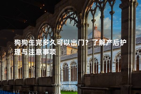 狗狗生完多久可以出門？了解產(chǎn)后護理與注意事項