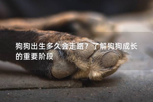 狗狗出生多久會走路？了解狗狗成長的重要階段