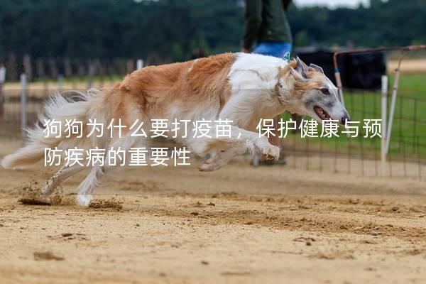 狗狗為什么要打疫苗，保護(hù)健康與預(yù)防疾病的重要性