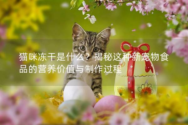 貓咪凍干是什么？揭秘這種新寵物食品的營養價值與制作過程