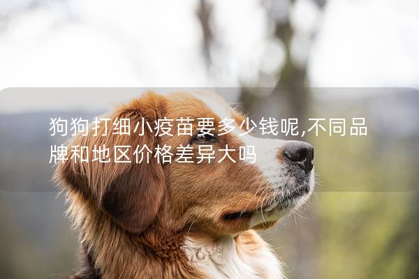 狗狗打細小疫苗要多少錢呢,不同品牌和地區價格差異大嗎