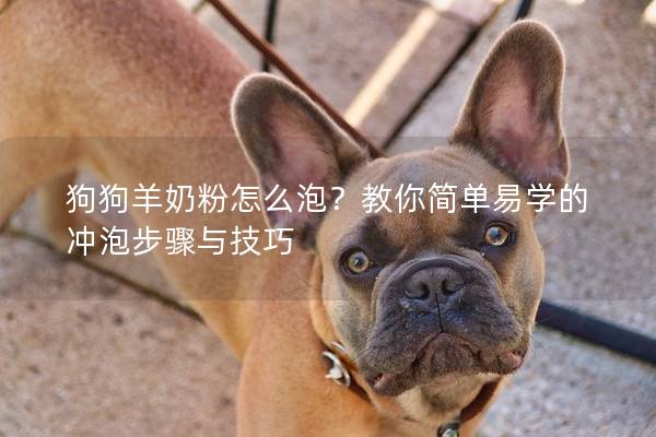 狗狗羊奶粉怎么泡？教你簡單易學(xué)的沖泡步驟與技巧