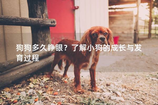 狗狗多久睜眼?了解小狗的成長與發(fā)育過程 狗狗多久睜眼?了解小狗的成長與發(fā)育過程