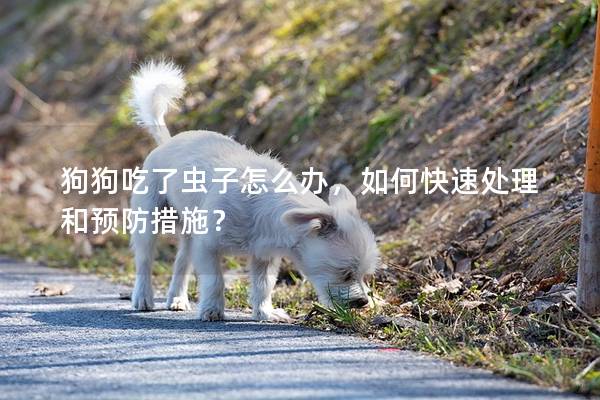 狗狗吃了蟲子怎么辦，如何快速處理和預防措施？
