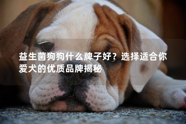 益生菌狗狗什么牌子好?選擇適合你愛犬的優質品牌揭秘 益生菌狗狗什么牌子好?選擇適合你愛犬的優質品牌揭秘