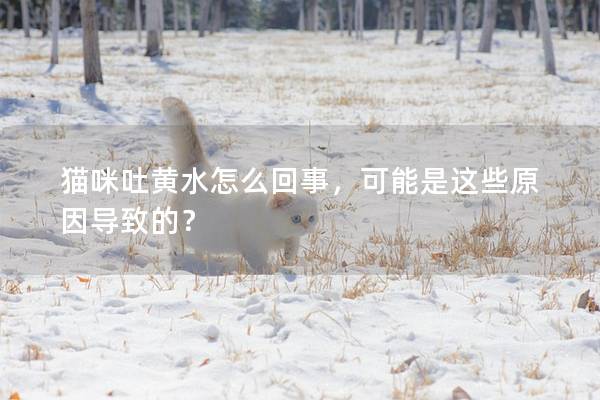 貓咪吐黃水怎么回事，可能是這些原因?qū)е碌模? title=