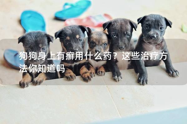 狗狗身上有癬用什么藥？這些治療方法你知道嗎