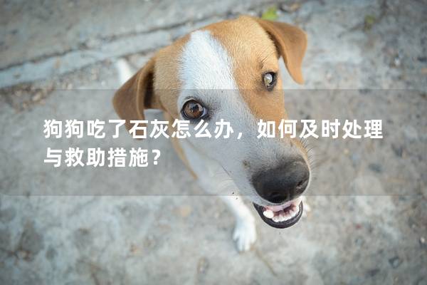 狗狗吃了石灰怎么辦，如何及時處理與救助措施？