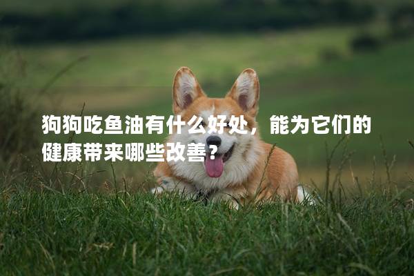 狗狗吃魚油有什么好處，能為它們的健康帶來哪些改善？