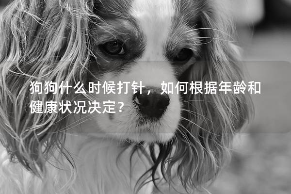 狗狗什么時候打針，如何根據年齡和健康狀況決定？