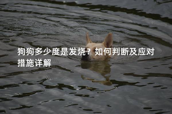 狗狗多少度是發燒？如何判斷及應對措施詳解