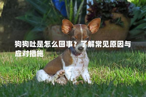 狗狗吐是怎么回事？了解常見原因與應對措施