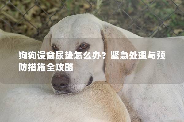 狗狗誤食尿墊怎么辦？緊急處理與預防措施全攻略