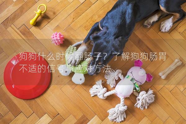 狗狗什么時候翻腸子？了解狗狗腸胃不適的信號與應對方法