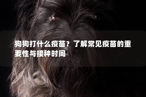 狗狗打什么疫苗？了解常見疫苗的重要性與接種時間