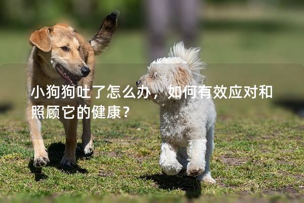 小狗狗吐了怎么辦，如何有效應對和照顧它的健康？