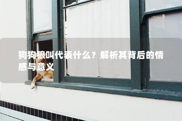 狗狗狼叫代表什么？解析其背后的情感與意義