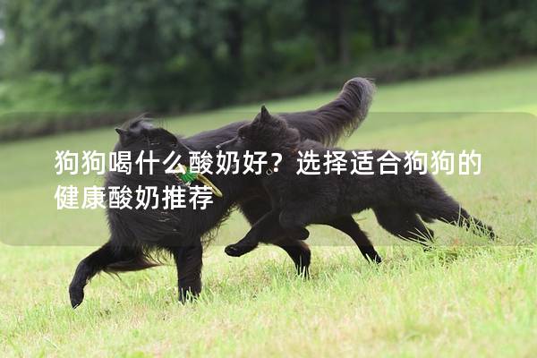 狗狗喝什么酸奶好？選擇適合狗狗的健康酸奶推薦