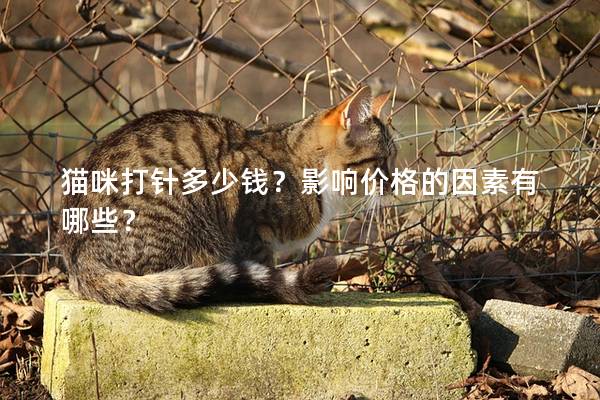 貓咪打針多少錢？影響價格的因素有哪些？