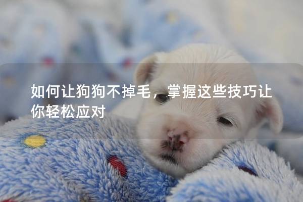 如何讓狗狗不掉毛，掌握這些技巧讓你輕松應對