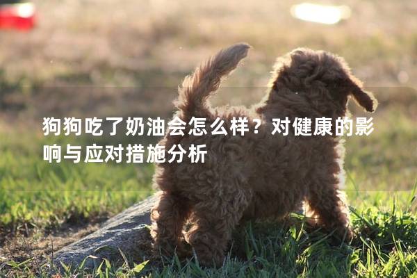 狗狗吃了奶油會怎么樣？對健康的影響與應對措施分析