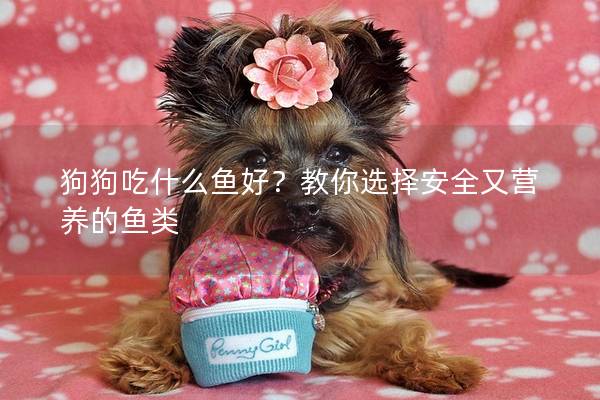 狗狗吃什么魚好？教你選擇安全又營養的魚類