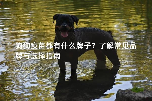 狗狗疫苗都有什么牌子？了解常見品牌與選擇指南
