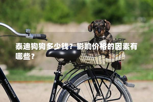 泰迪狗狗多少錢？影響價(jià)格的因素有哪些？