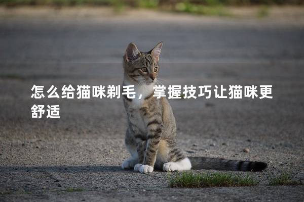 怎么給貓咪剃毛，掌握技巧讓貓咪更舒適