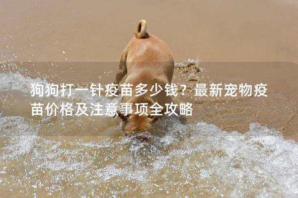 狗狗打一針疫苗多少錢？最新寵物疫苗價格及注意事項全攻略